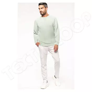 Kariban KA480 Organic Raglan Sleeve Sweatshirt sage